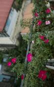 Туры в отель Au Coeur d'Hanoi Apartment Туры в отель Au Coeur d'Hanoi Apartment