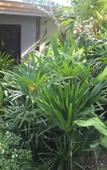 Туры в отель Patong Beach Luxury Hotel Apartment Туры в отель Patong Beach Luxury Hotel Apartment