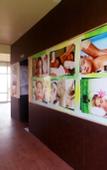 Туры в отель Golden Eagle By wizowll Group of hotels Туры в отель Golden Eagle By wizowll Group of hotels