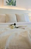 Туры в отель The Astra Condo Туры в отель The Astra Condo