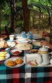 Туры в отель Serenity Sigiri Resort Туры в отель Serenity Sigiri Resort