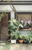 Туры в отель VillaBerry Nimman Chiang Mai Туры в отель VillaBerry Nimman Chiang Mai