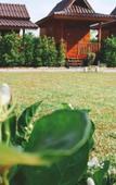 Туры в отель Imsuk Homestay Chiang Rai Туры в отель Imsuk Homestay Chiang Rai