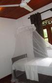 Туры в отель Green herbal Ayurvedic Eco-Lodge Туры в отель Green herbal Ayurvedic Eco-Lodge