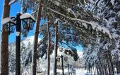 Туры в отель Nairi Hotel SPA Resorts Туры в отель Nairi Hotel SPA Resorts