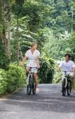 Туры в отель Aarunya Nature Resort & Spa Туры в отель Aarunya Nature Resort & Spa