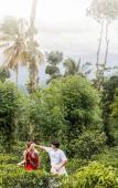 Туры в отель Aarunya Nature Resort & Spa Туры в отель Aarunya Nature Resort & Spa