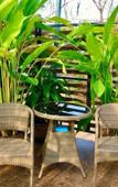 Туры в отель Koh Larn Riviera Туры в отель Koh Larn Riviera