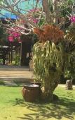 Туры в отель Villa Pasraman Baghawan Туры в отель Villa Pasraman Baghawan