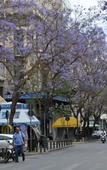 Туры в отель athens.apartotel.1 Туры в отель athens.apartotel.1