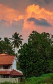 Туры в отель Turtle paradise villa & restaurant Туры в отель Turtle paradise villa & restaurant