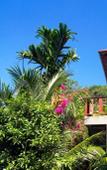 Туры в отель Kanya Cozy Bungalows Kata Beach Туры в отель Kanya Cozy Bungalows Kata Beach