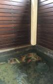 Туры в отель Aiims Tales Canal Boutique House Туры в отель Aiims Tales Canal Boutique House
