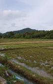 Туры в отель Anattaya Holiday Home Туры в отель Anattaya Holiday Home