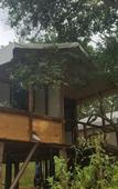 Туры в отель Asharo Sigiriya Villa Туры в отель Asharo Sigiriya Villa
