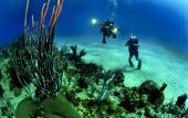 Туры в отель Отель Yala Waves Beach Resort Туры в отель Отель Yala Waves Beach Resort