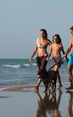 Туры в отель Marina Azzurra Resort Туры в отель Marina Azzurra Resort