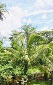 Туры в отель Ruwinsons Canal Garden Туры в отель Ruwinsons Canal Garden