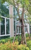 Туры в отель The Lux Ladprao 10 Туры в отель The Lux Ladprao 10