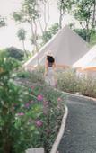Туры в отель Roost Glamping Туры в отель Roost Glamping