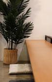 Туры в отель Tropical Summer Hostel Туры в отель Tropical Summer Hostel