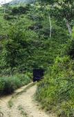 Туры в отель Wild Glamping Knuckles Туры в отель Wild Glamping Knuckles