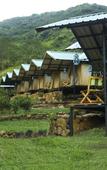 Туры в отель Wild Glamping Knuckles Туры в отель Wild Glamping Knuckles