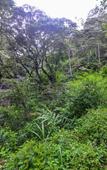 Туры в отель Wild Glamping Knuckles Туры в отель Wild Glamping Knuckles