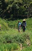 Туры в отель Wild Glamping Knuckles Туры в отель Wild Glamping Knuckles