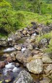 Туры в отель Wild Glamping Knuckles Туры в отель Wild Glamping Knuckles