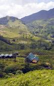 Туры в отель Wild Glamping Knuckles Туры в отель Wild Glamping Knuckles
