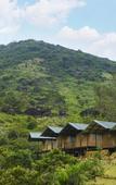 Туры в отель Wild Glamping Knuckles Туры в отель Wild Glamping Knuckles