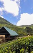 Туры в отель Wild Glamping Knuckles Туры в отель Wild Glamping Knuckles