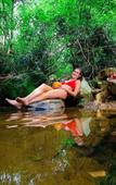 Туры в отель Treehouse Chalets Туры в отель Treehouse Chalets