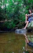 Туры в отель Treehouse Chalets Туры в отель Treehouse Chalets