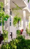 Туры в отель Doi Dua Homestay Туры в отель Doi Dua Homestay