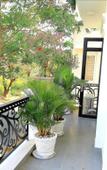 Туры в отель Sampan House Туры в отель Sampan House