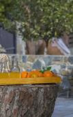 Туры в отель Platres Forest View Cottage Туры в отель Platres Forest View Cottage