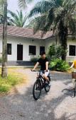 Туры в отель Palm Garden House Туры в отель Palm Garden House