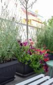Туры в отель Athenian Sensations Apartments & Suites Туры в отель Athenian Sensations Apartments & Suites