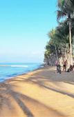 Туры в отель 5th Floor Condo Jomtien Beach Туры в отель 5th Floor Condo Jomtien Beach