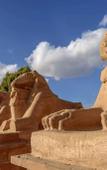 Туры в отель MS King Tut I Nile Cruise Туры в отель MS King Tut I Nile Cruise