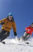 Туры в отель Alpine Lodge Туры в отель Alpine Lodge