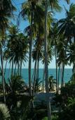 Туры в отель MUI NE 168 BOUTIQUE Hotel Туры в отель MUI NE 168 BOUTIQUE Hotel