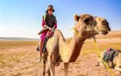 Туры в отель Luxury Desert Camp Туры в отель Luxury Desert Camp