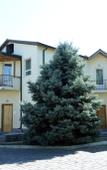 Туры в отель Armenian Village Park Hotel Туры в отель Armenian Village Park Hotel