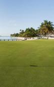 Туры в отель Punta Cana Beach Resort Туры в отель Punta Cana Beach Resort