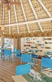 Туры в отель Punta Cana Beach Resort Туры в отель Punta Cana Beach Resort