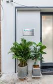 Туры в отель Cozrum Homes Saphera Residence Туры в отель Cozrum Homes Saphera Residence
