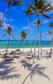 Туры в отель Hotel Maracas Punta Cana Туры в отель Hotel Maracas Punta Cana